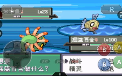 口袋妖怪笨笨鱼怎么抓[图2]