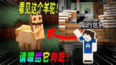 我的世界羊驼怎么驯化