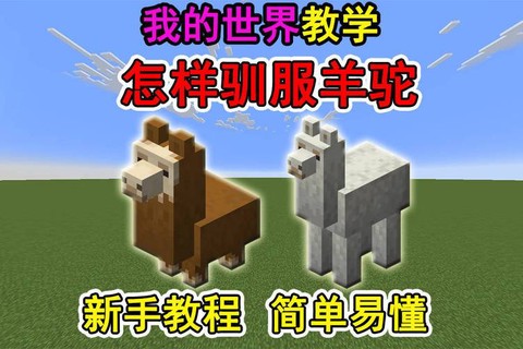 我的世界羊驼怎么驯化[图1]