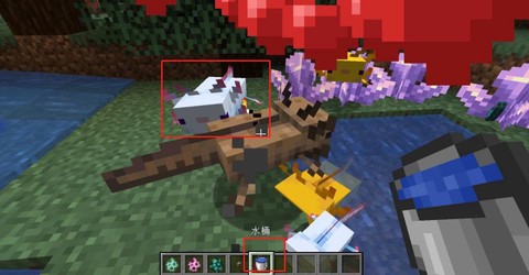 我的世界怎么抓动物[图2]