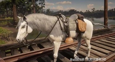 荒野大镖客怎么喂马[图1]